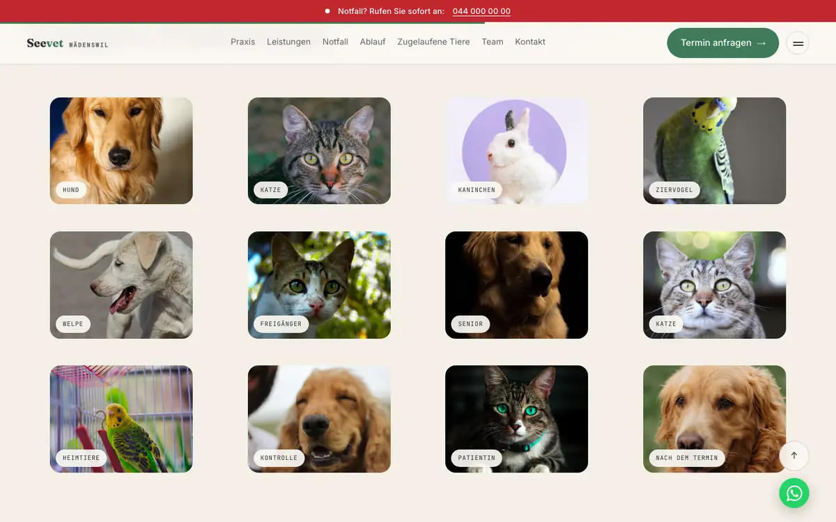 Veterinar — sekcija 3